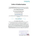 Saeyang Marathon Handy 700 + BM50S1 -FS60N 2in1* bürstenlose Fräsmaschine – Bild 9