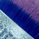 Muschelstaubpinsel – Bild 2