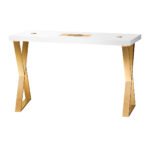 MOMO 04-GL Kosmetiktisch mit Absaugung – Bild 3